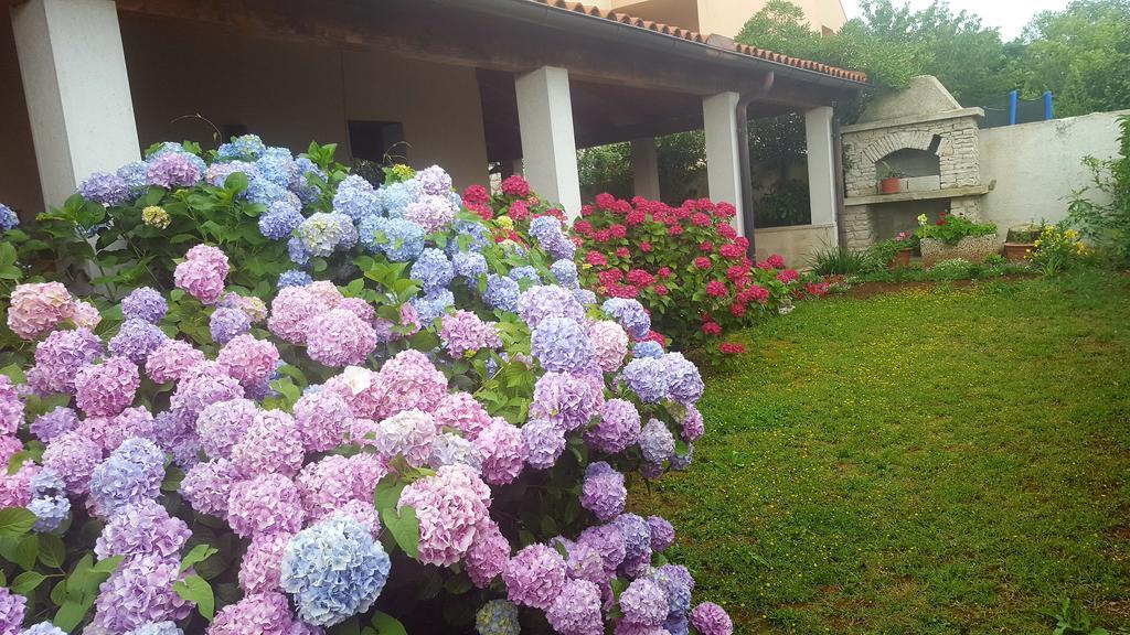 Bed & Breakfast Banjole Εξωτερικό φωτογραφία